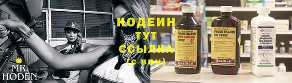 стаф Новокубанск