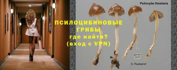 не бодяженный Абинск