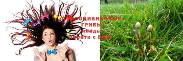 не бодяженный Абинск