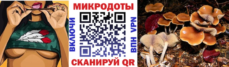 Галлюциногенные грибы мухоморы  купить наркотики цена  Красноармейск 